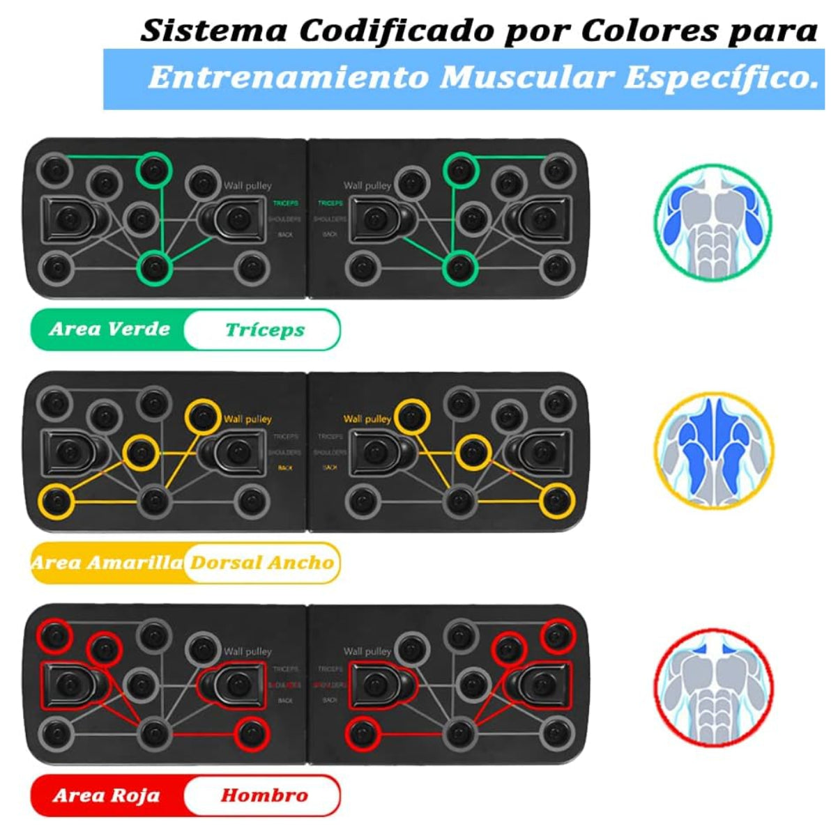 Tabla Push Up Con Bandas Multifuncion