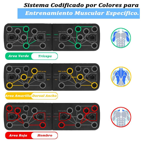 Tabla Push Up Con Bandas Multifuncion